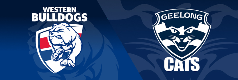 AFL 2023 Round 12 - Western Bulldogs v Geelong