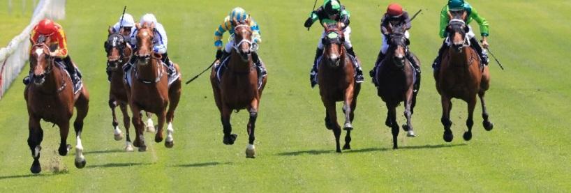 Randwick Racing Tips