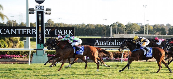 Canterbury Racing Tips For Saturday November 5th | Before You Bet