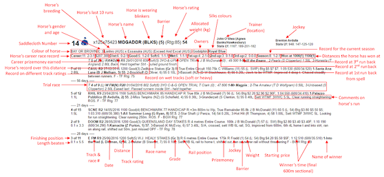 Racing Form Guide Explained