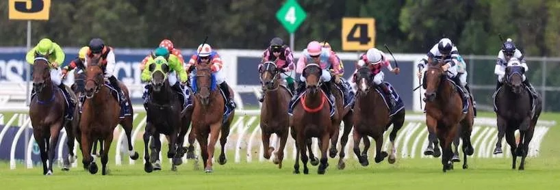 Rosehill Racing Tips