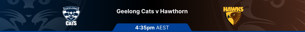 Geelong vs Hawthorn