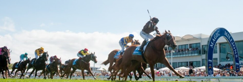 Magic Millions betting tips