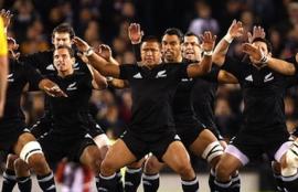 Bledisloe Cup Game 1 Betting Tips