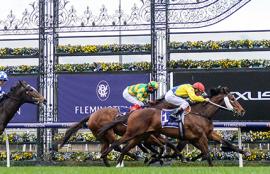 Flemington Racing Tips 2020 Stakes Day