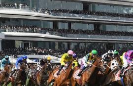 Melbourne Cup Racing Tips