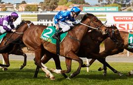 Australian Horse Racing Tips Friday July 31st