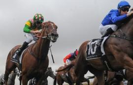 Horse Racing Tips: Wednesday January 13th