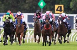 Rosehill Racing Tips