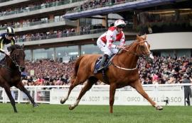 Royal Ascot Racing Tips