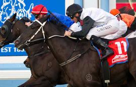 Australian Horse Racing Tips Friday September 25th