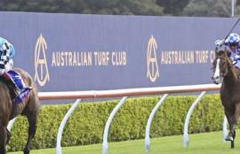 Warwick Farm Racing Tips