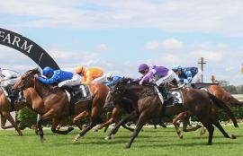 Warwick Farm Racing Tips