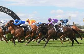 Warwick Farm Racing Tips