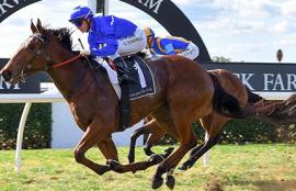 Warwick Farm Racing Tips Wednesday October 7th