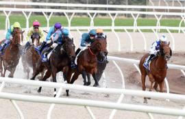 Australian Horse Racing Tips Friday August 7th