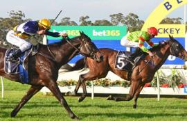 Australian Horse Racing Tips Sunday August 9th