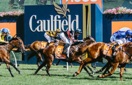 Caulfield Cup Tips