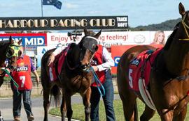 Australian Horse Racing Tips Thursday August 6th