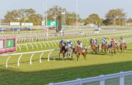 Doomben Racing Tips