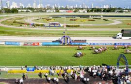 Gold Coast Racing Tips