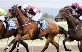 Australian Horse Racing Tips Thursday July 30th