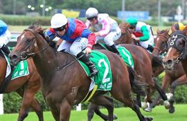 Randwick Kensington Racing Tips Wednesday September 30th