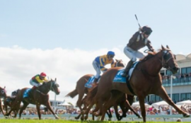 Magic Millions betting tips