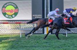 Moonee Valley Racing Tips Friday October 30th