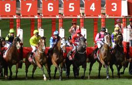 Moonee Valley Racing Tips Friday December 18th