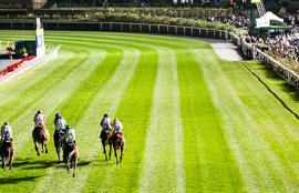 Australian Horse Racing Tips Friday December 11th