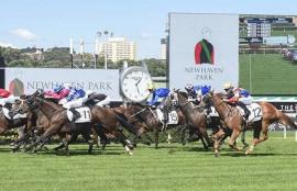 Randwick Racing Tips