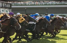 Randwick Racing Tips