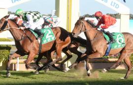 Australian Horse Racing Tips Tuesday July 28th