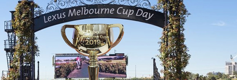 How to bet on melbourne cup horse racing