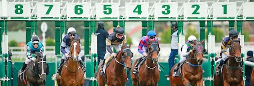 Horse Racing Betting Websites