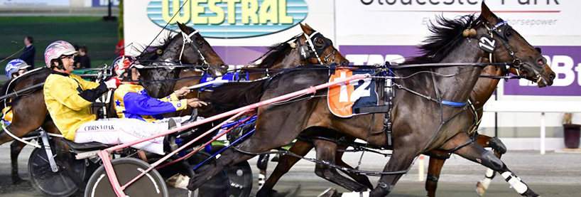 Harness Racing Tips Friday May 10th Before You Bet