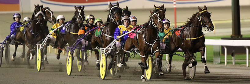 Harness Racing Tips: Gloucester Park - Friday, July 19th | Before You Bet