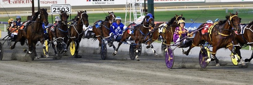 Harness Racing Tips: Gloucester Park - Friday March 8th | Before You Bet