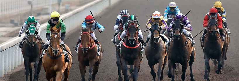 Sha Tin Racing Tips: Wednesday, May 8th | Before You Bet