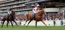 Royal Ascot Racing Tips