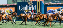 Caulfield Cup Tips