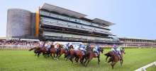 Randwick Racing Tips